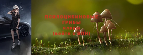 PSILOCYBIN Алексеевка